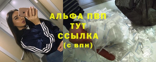сатива Инта