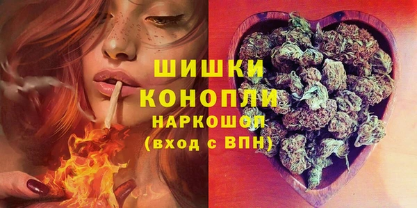 сатива Инта