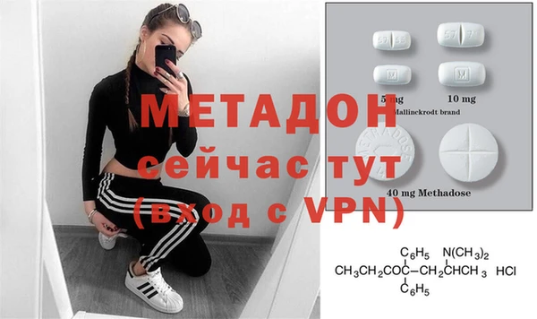 сатива Инта