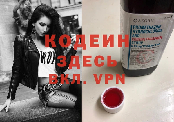 сатива Инта