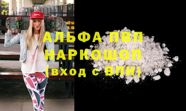 гашик Иннополис
