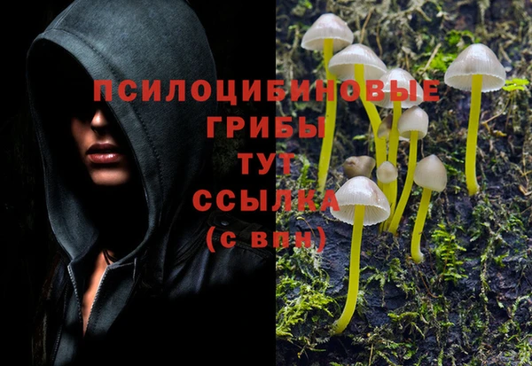 кокаин перу Инсар