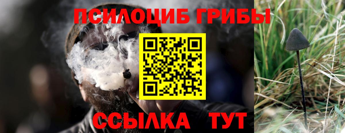 Ипатово  Псилоцибиновые грибы Psilocybe  как найти   Вход с VPN 